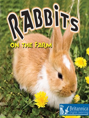 cover image of Rabbits on the Farm